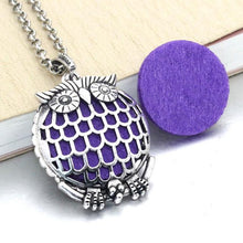 Load image into Gallery viewer, Vintage Aroma Diffuser Necklace with Pad