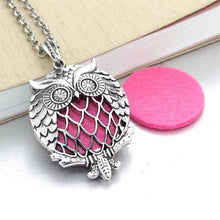 Load image into Gallery viewer, Vintage Aroma Diffuser Necklace with Pad